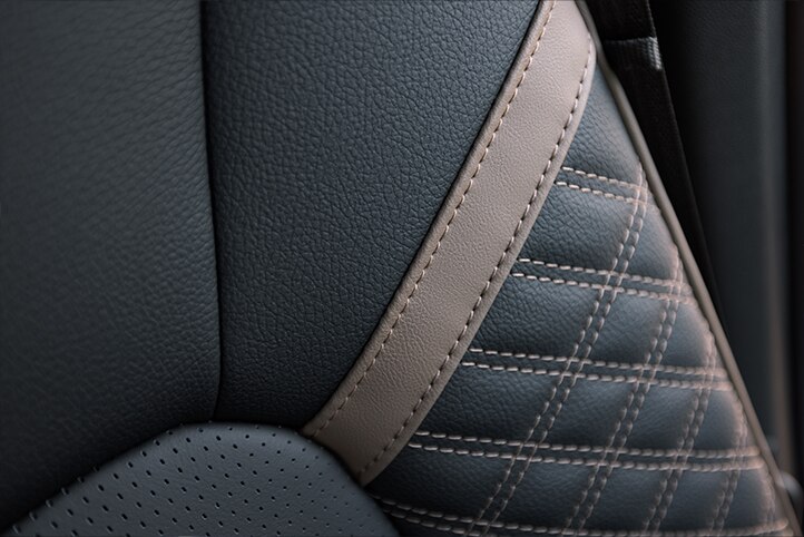 Canyon 2023 interior